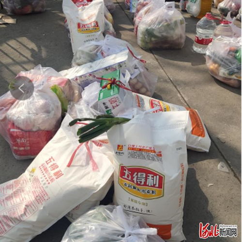 政企协同打通民生补给通道 河北廊坊日用品销售新模式探析